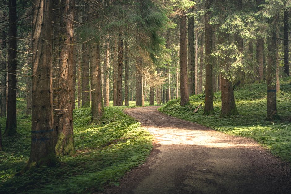 A Kinder Approach to Recovery, Rest Days And Overdoing It, the Honest Way