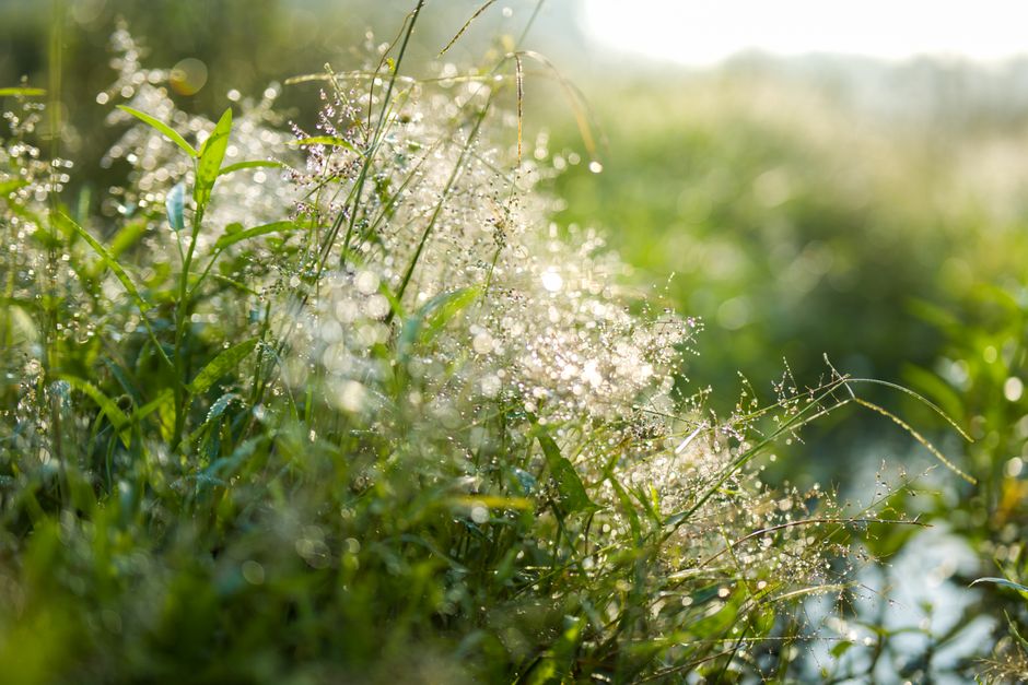 A Practical Take on Health Over A Lifetime, Not A Season