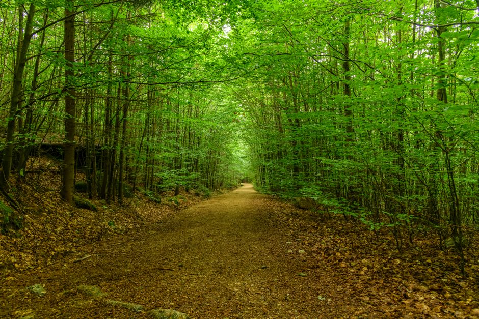 A Slower Approach to Simplicity As A Health Strategy
