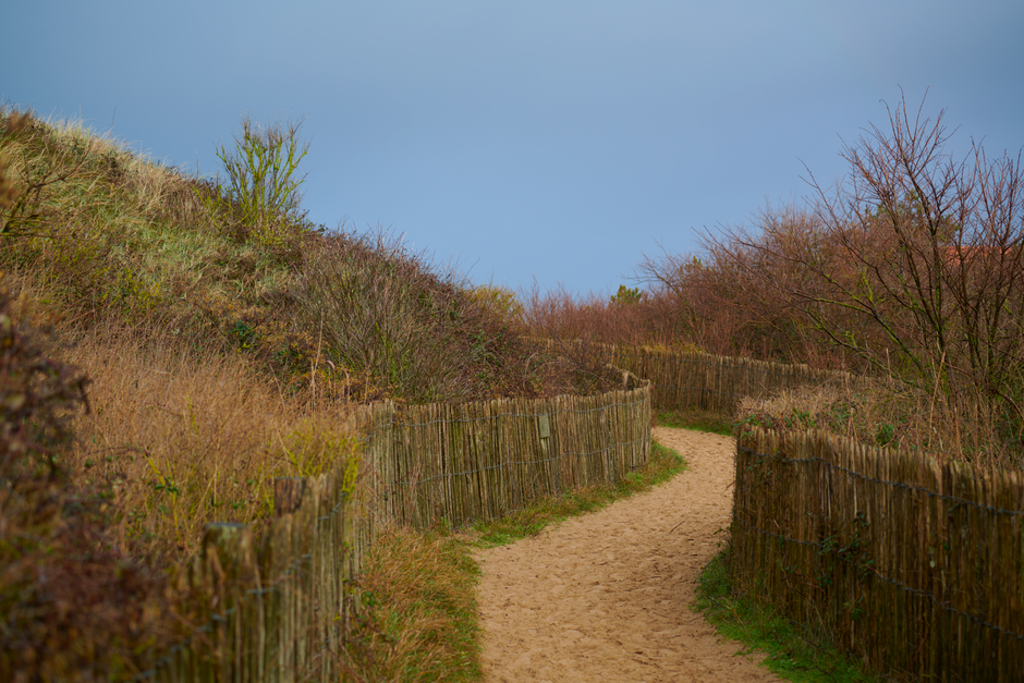 A Slower Approach to Wellness At Different Life Stages, in Plain Language