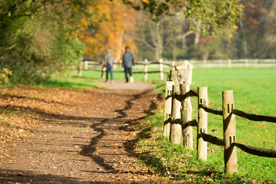 Ageing Well Without the Guesswork, in Plain Language