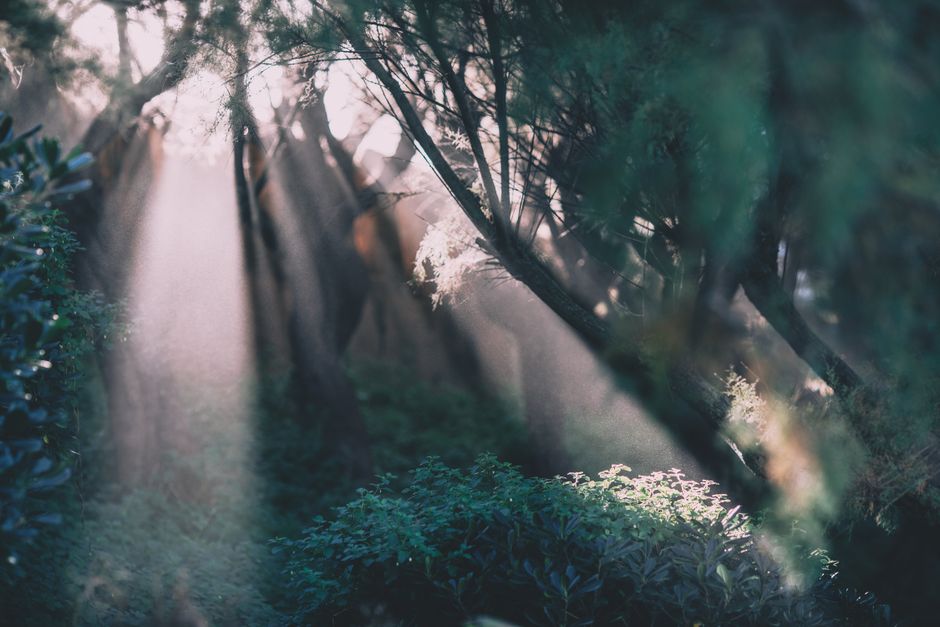 Coming Back to Habits: How They Actually Form, Made Simple