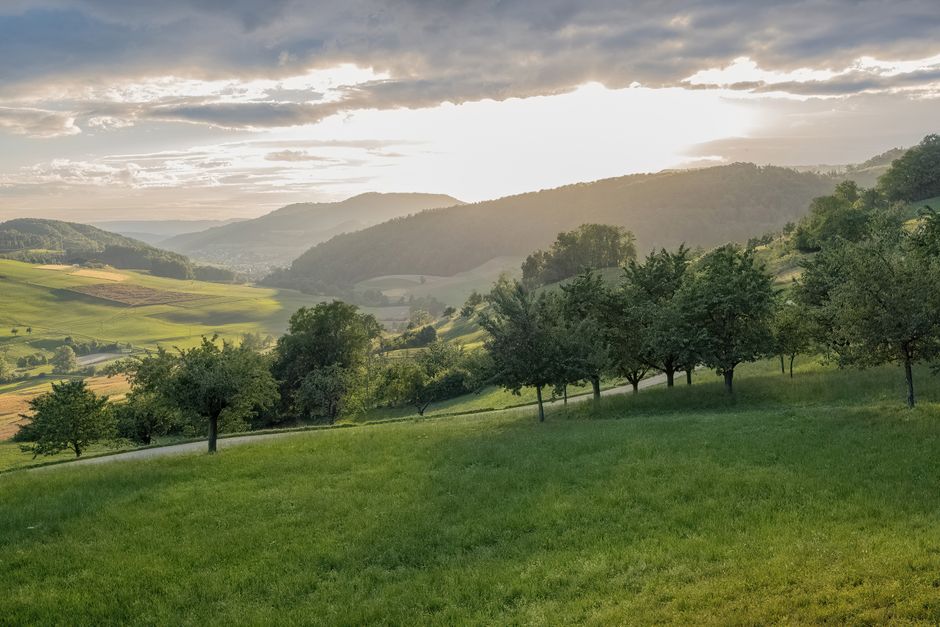 Health As A Daily Practice as the Years Add Up, on a Normal Week
