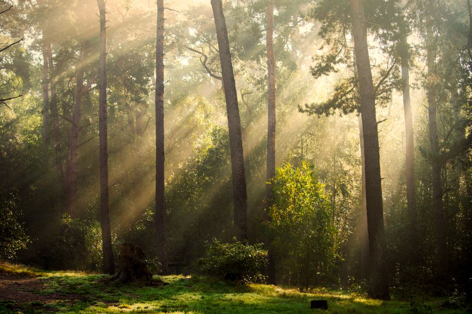 How Creating Healthy Long-Term Habits Fits a Real Routine, Without Overthinking It
