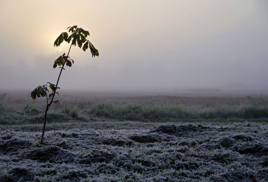 How Health Over A Lifetime, Not A Season Fits a Real Routine, Explained Simply