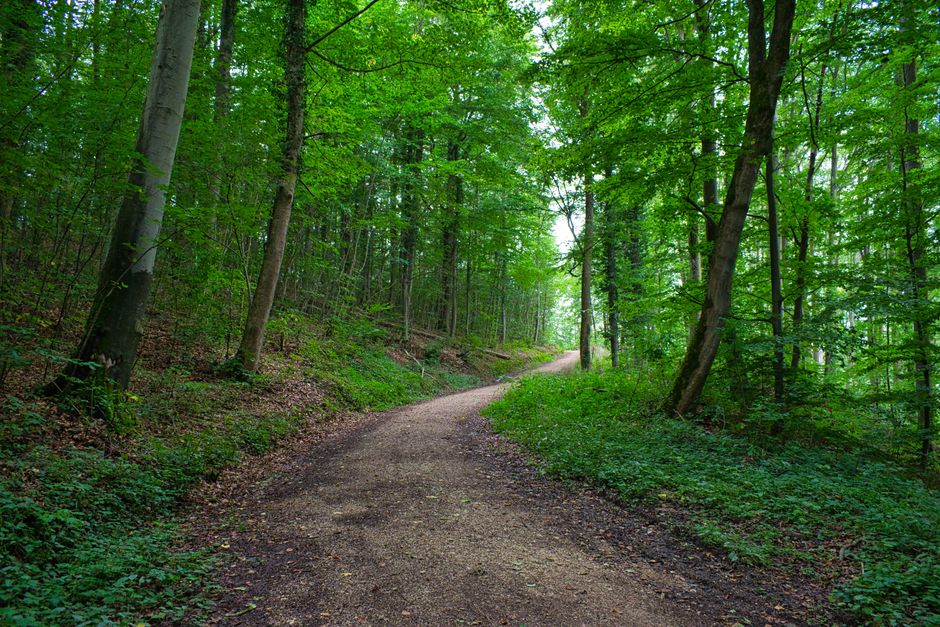 Living Well With The Habit Of Moving Through The Day in Mind, Day by Day