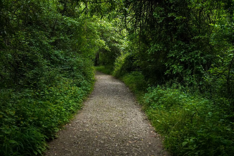 Room for The Ordinary Virtues Of Walking in a Full Day, Made Simple