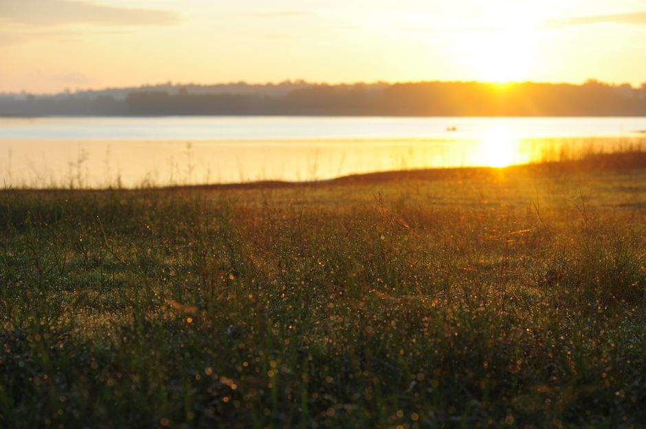 The Case for Living A Healthy Lifestyle, the Honest Way