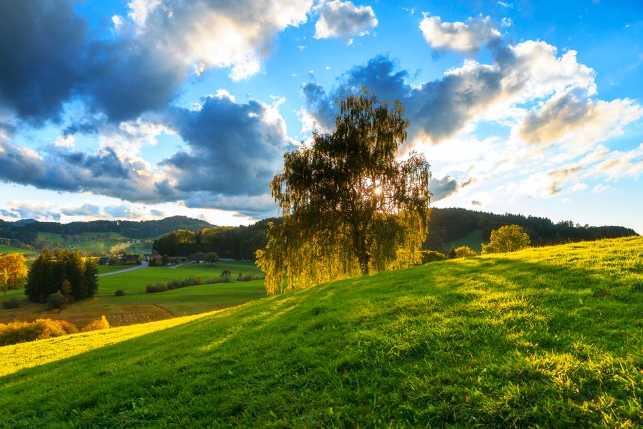 The Case for Stress: Signal, Response And Recovery, Day by Day