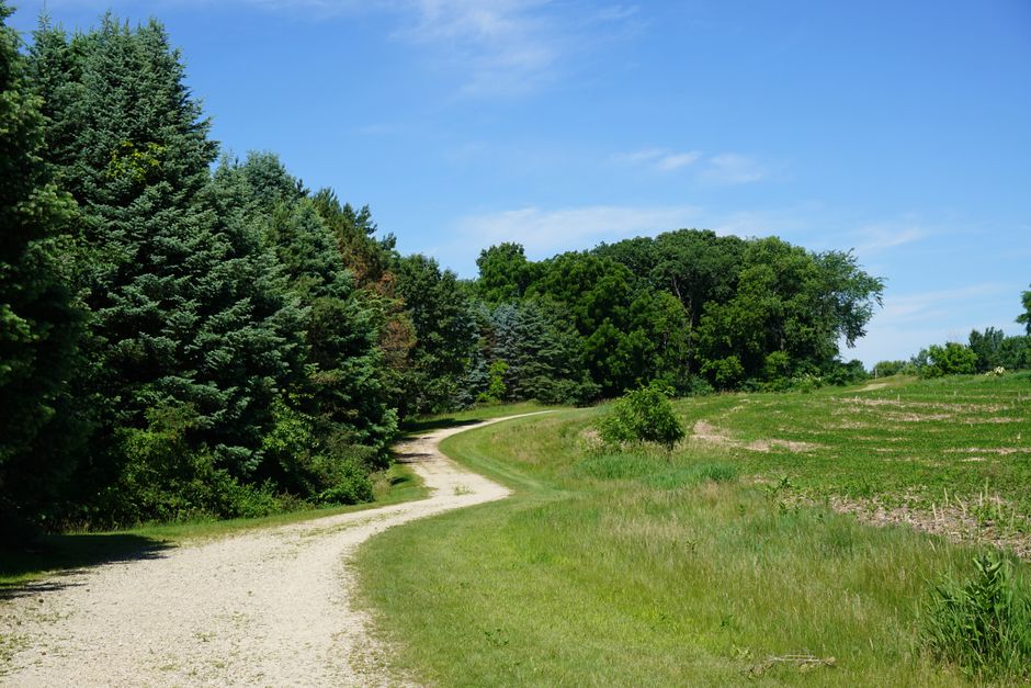 The Ordinary Virtues Of Walking Without the Guesswork, Without the Hype