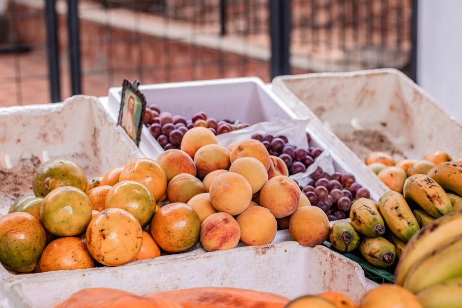 The Quiet Value of Health Through The Seasons, One Step at a Time