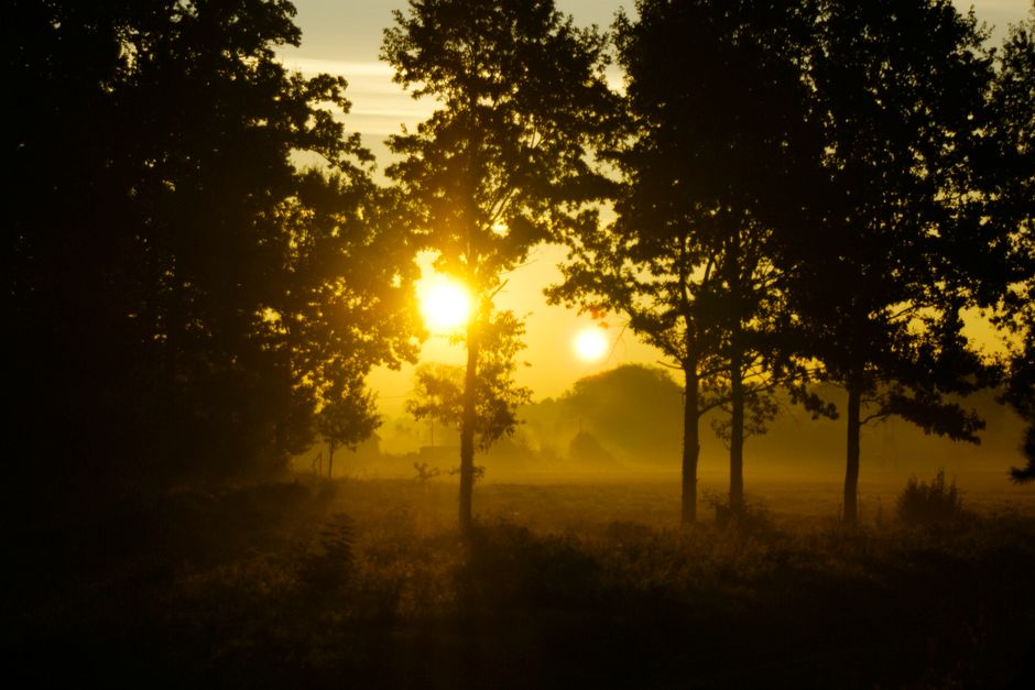 The Quiet Value of Starting Over Without Starting From Scratch, Starting Today