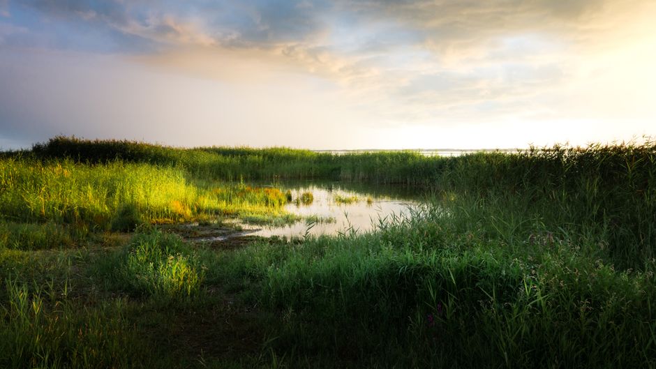 What Nobody Tells You About The Social Side Of Well-Being, Day by Day
