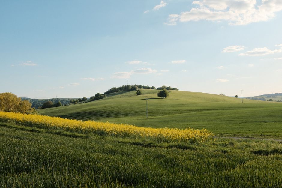 Where to Begin With Small Lifestyle Changes That Matter, Starting Today